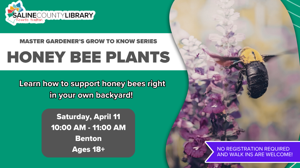 Honey Bee Plants